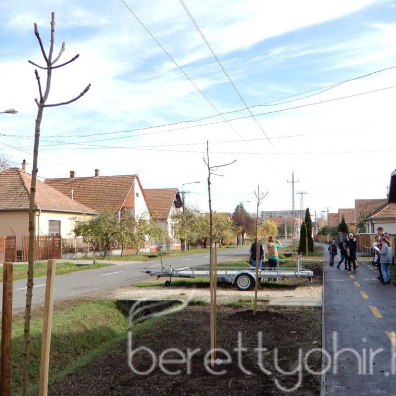 Közösségi faültetés Berettyóújfaluban 78